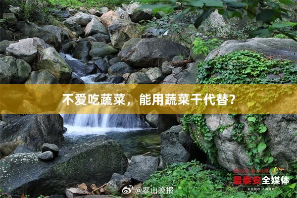 不爱吃蔬菜，能用蔬菜干代替？