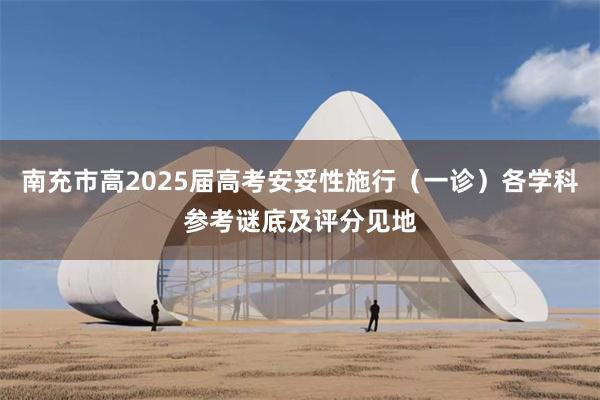 南充市高2025届高考安妥性施行（一诊）各学科参考谜底及评分见地