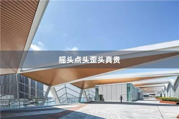 摇头点头歪头真贵