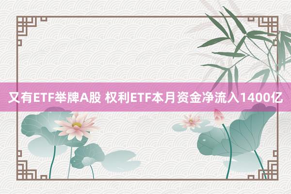 又有ETF举牌A股 权利ETF本月资金净流入1400亿