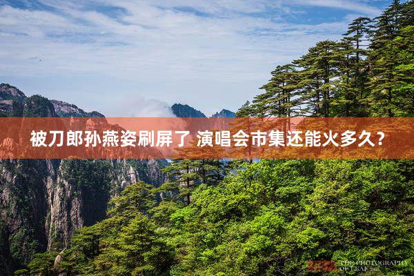 被刀郎孙燕姿刷屏了 演唱会市集还能火多久？