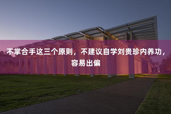 不掌合手这三个原则，不建议自学刘贵珍内养功，容易出偏
