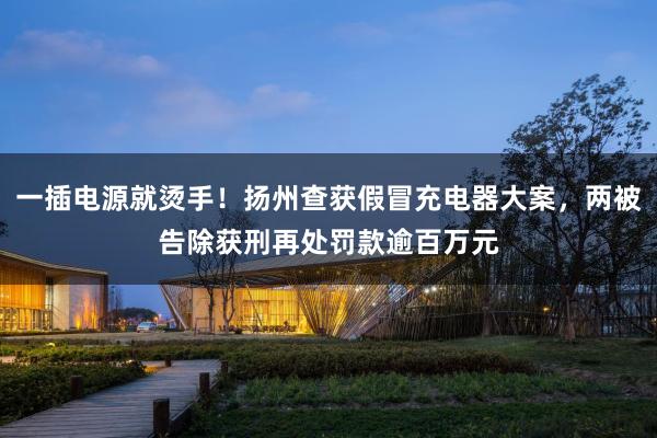 一插电源就烫手！扬州查获假冒充电器大案，两被告除获刑再处罚款逾百万元