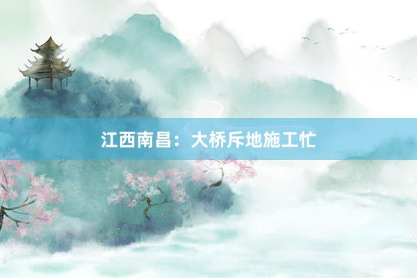 江西南昌:大桥斥地施工忙