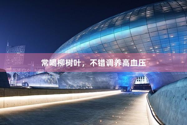 常喝柳树叶，不错调养高血压