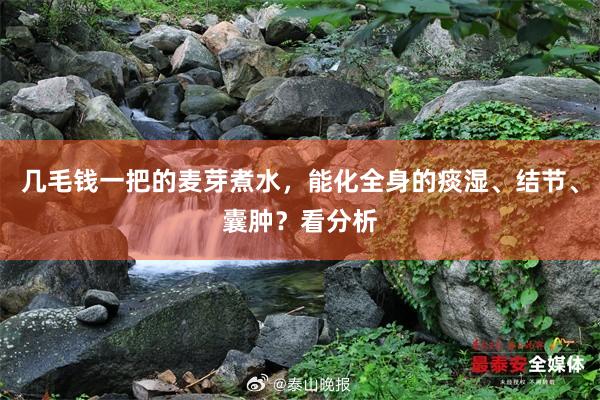 几毛钱一把的麦芽煮水，能化全身的痰湿、结节、囊肿？看分析