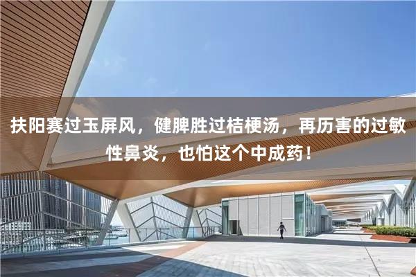 扶阳赛过玉屏风，健脾胜过桔梗汤，再历害的过敏性鼻炎，也怕这个中成药！