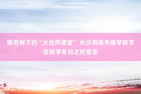 银杏树下的“大当然课堂” 长沙周南秀峰学校学生研学冬日之好意思