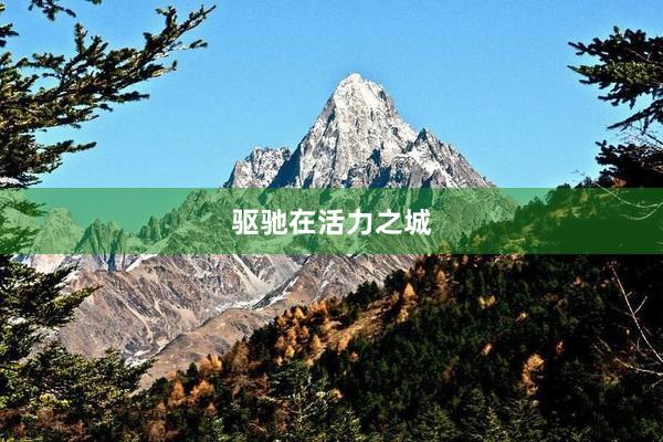 驱驰在活力之城