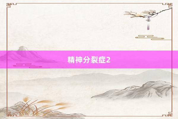 精神分裂症2