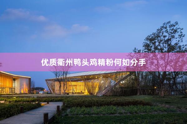 优质衢州鸭头鸡精粉何如分手