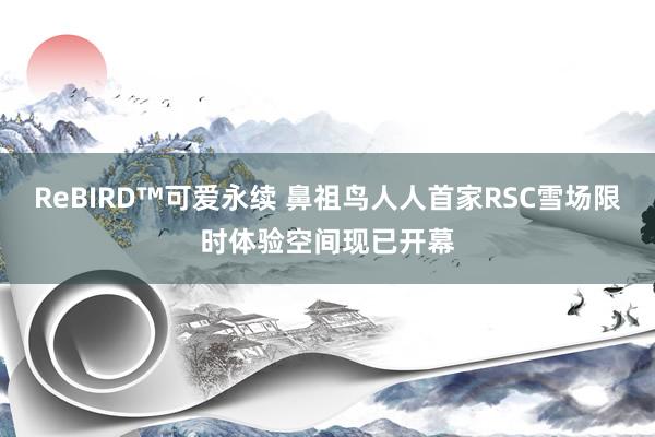 ReBIRD™可爱永续 鼻祖鸟人人首家RSC雪场限时体验空间现已开幕