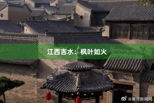 江西吉水：枫叶如火