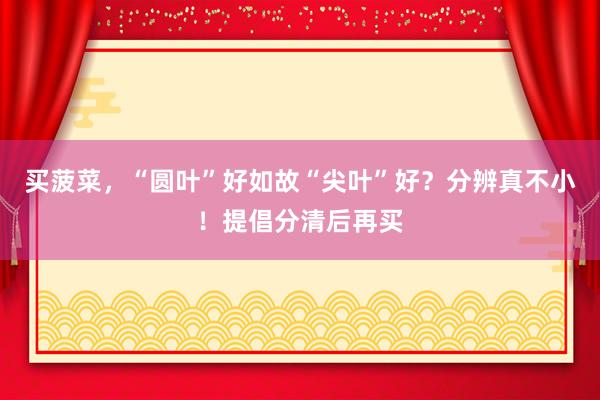 买菠菜，“圆叶”好如故“尖叶”好？分辨真不小！提倡分清后再买