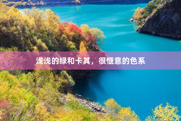 浅浅的绿和卡其，很惬意的色系