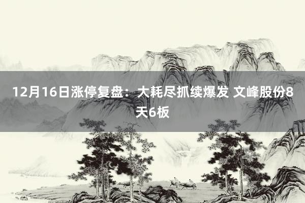 12月16日涨停复盘:大耗尽抓续爆发 文峰股份8天6板