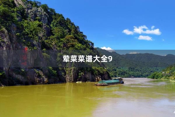 荤菜菜谱大全9